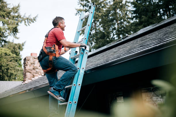 Best Skylights  in Ashland, KY